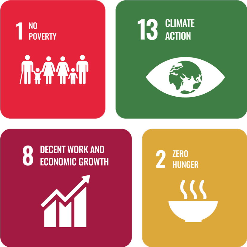 United Nations goals